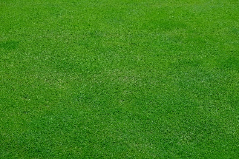 Landscape Design